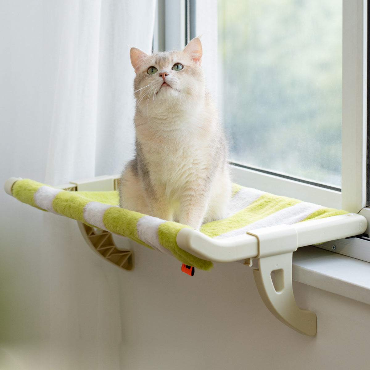 Cat Window Perch Lounge Mount Hammock Adjustable Seat