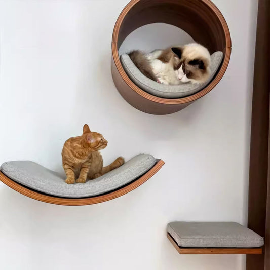 Luxury Wall Mounted Cat Furniture