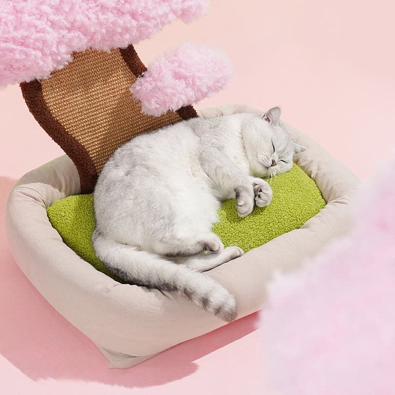 Sakura / Pine Tree Cat Bed and Cat Scratching Pads