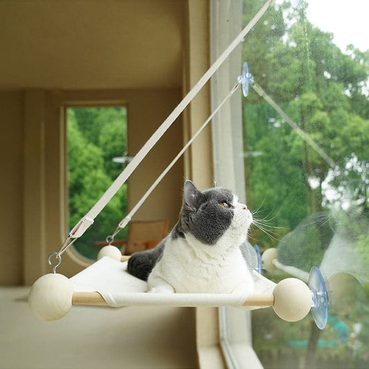 Solid Wooden Cat Perches For Window