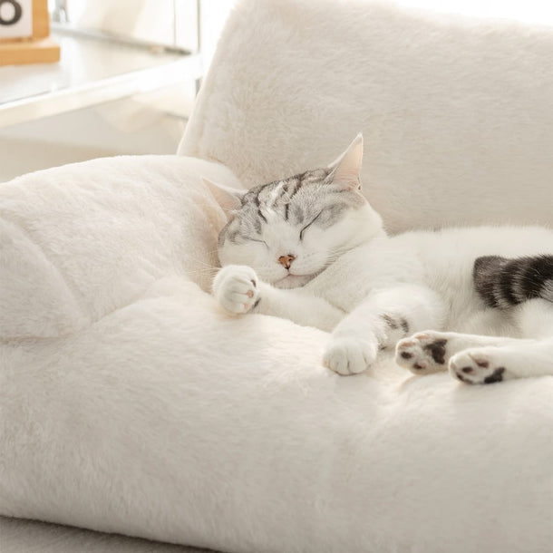 Macaron Cozy Cat & Dog Sofa