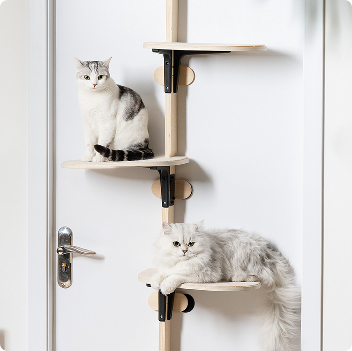 Palpeta House Door Cat Shelf