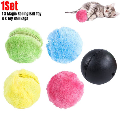 Pet Electric Roller Ball