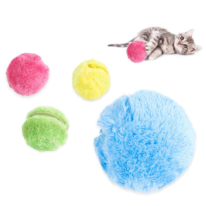 Pet Electric Roller Ball