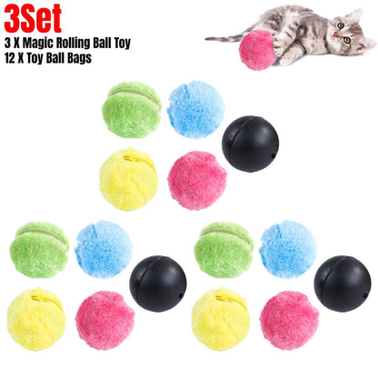 Pet Electric Roller Ball