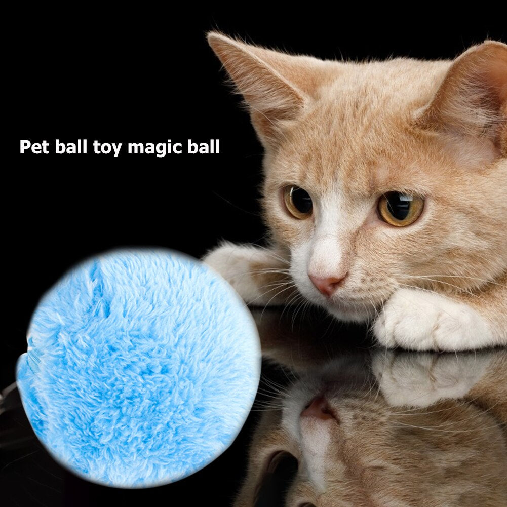 Pet Electric Roller Ball