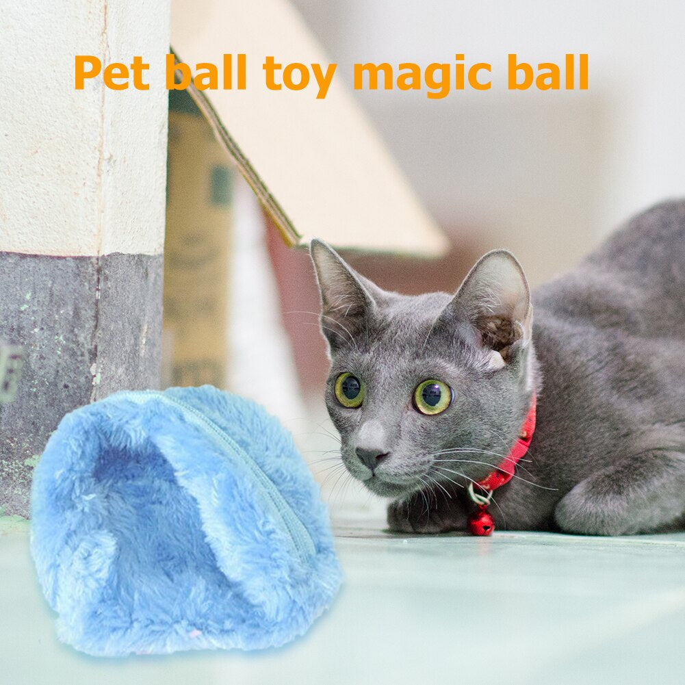 Pet Electric Roller Ball