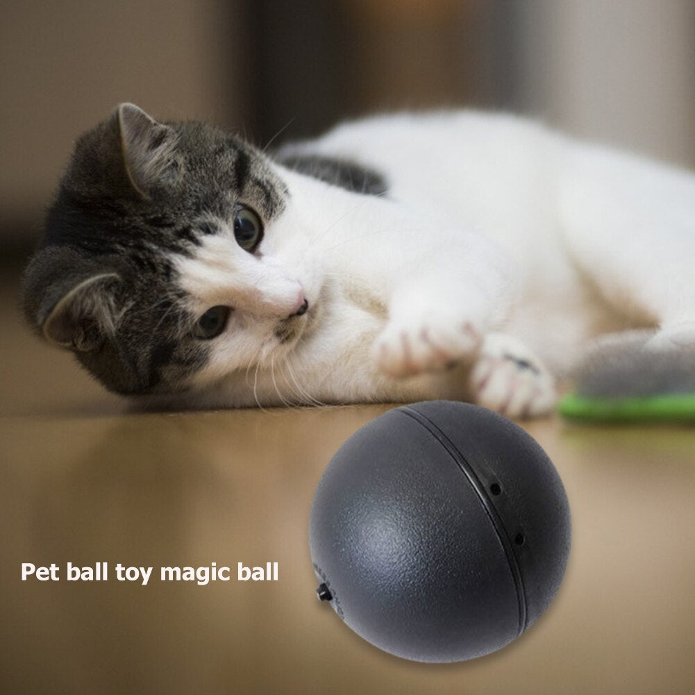 Pet Electric Roller Ball