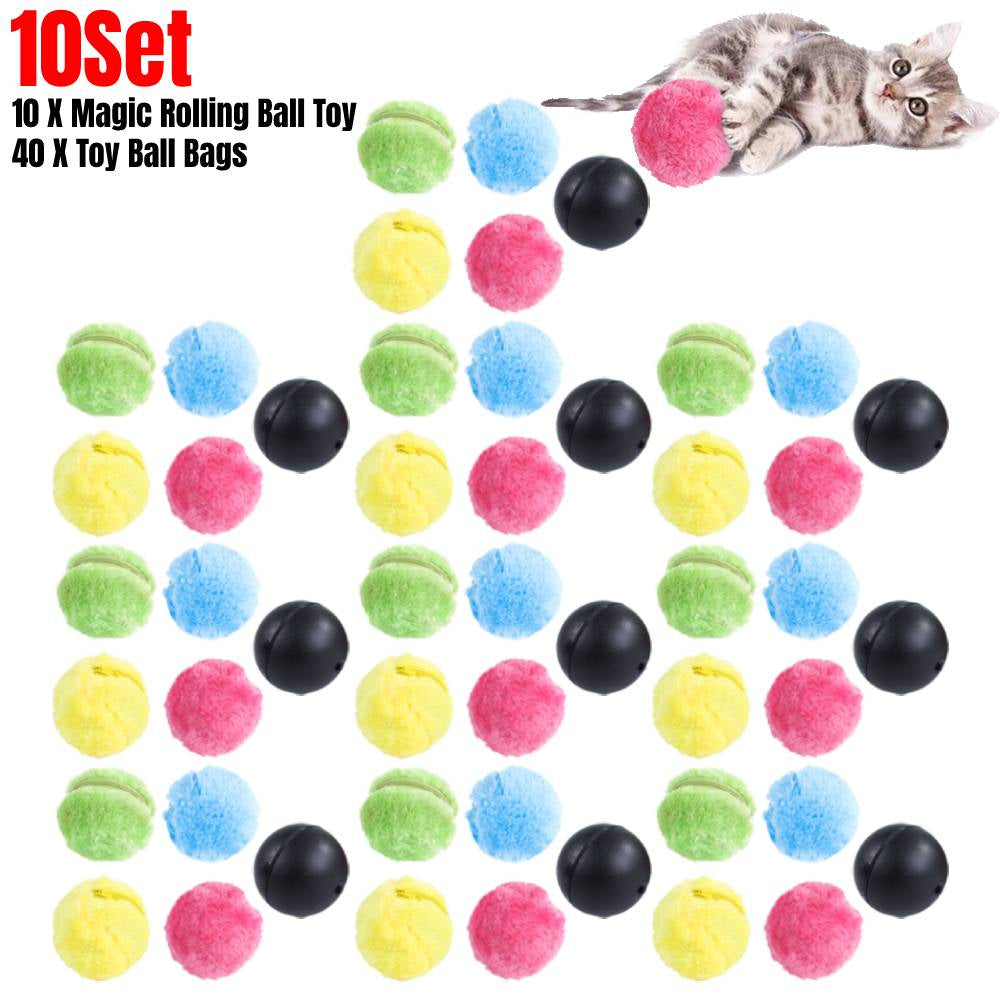 Pet Electric Roller Ball